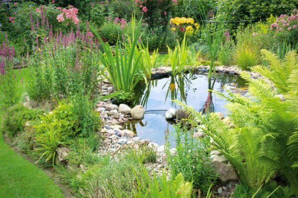 Plantation et Bassins