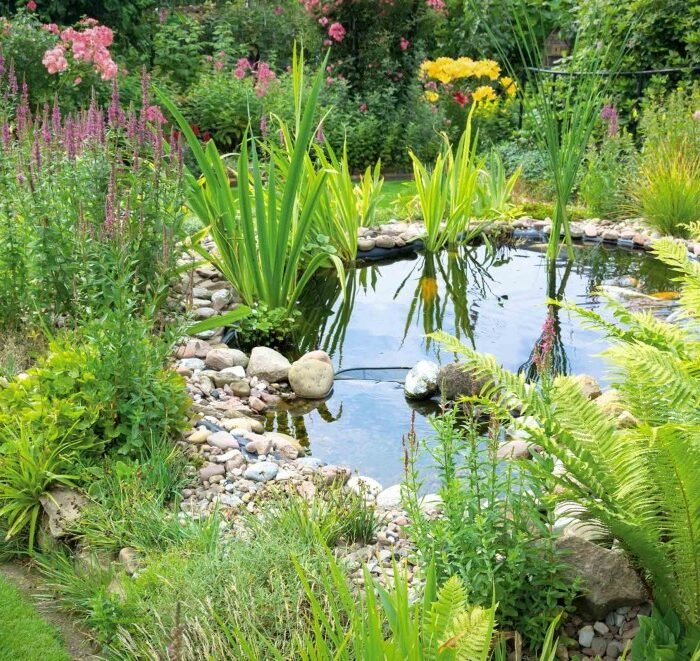 Plantation et Bassins